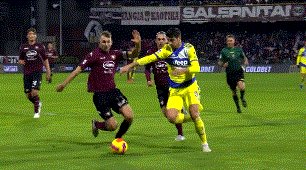动画 (266).gif